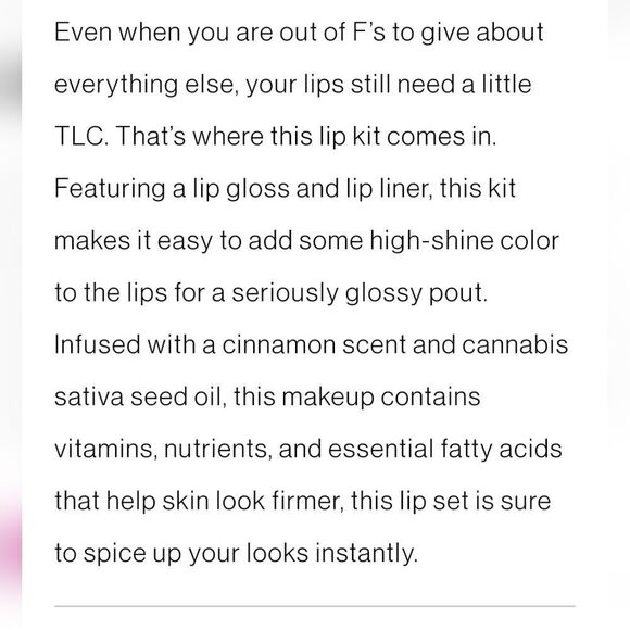 Wet-N-Wild Zero F's Given Lip Kit - Picture 10 of 11